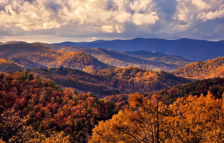 autumn-offer1