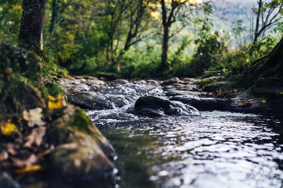 mountain-creek