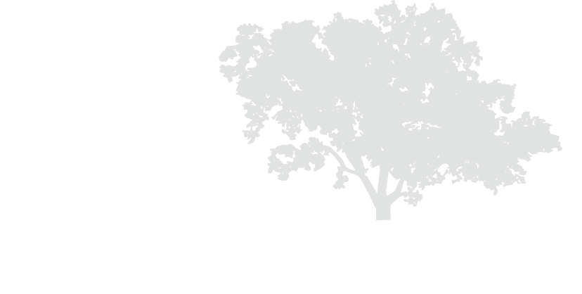 the-preserve